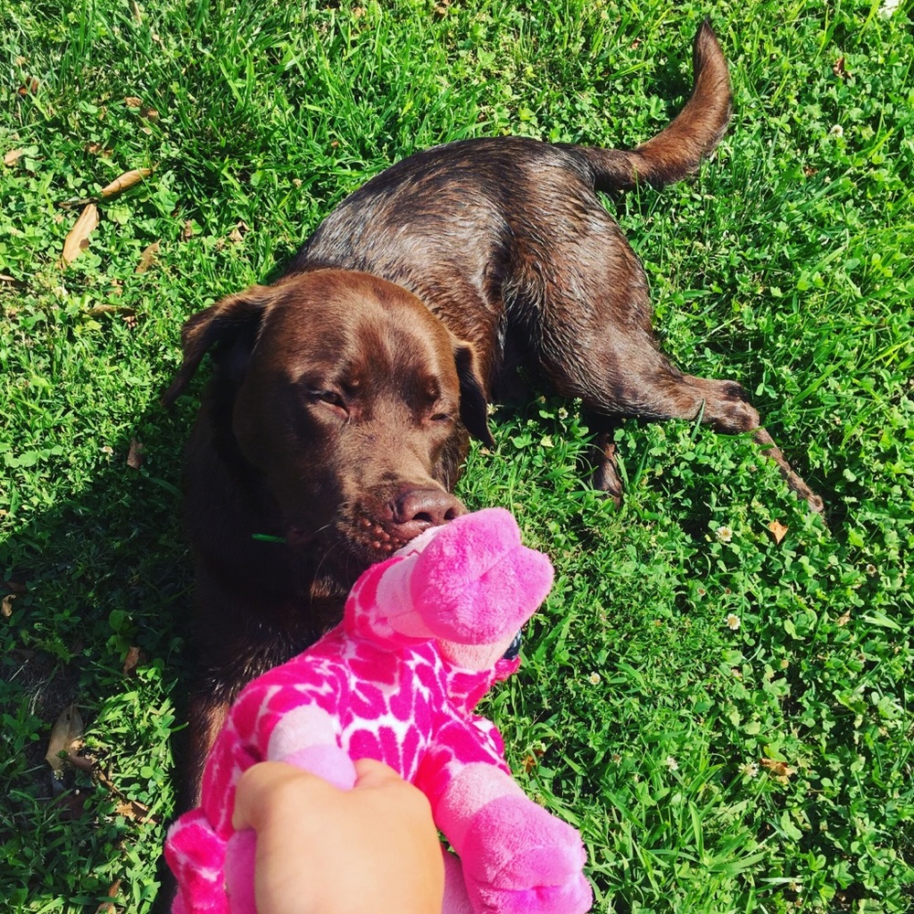 Meet your Posher, Taylor